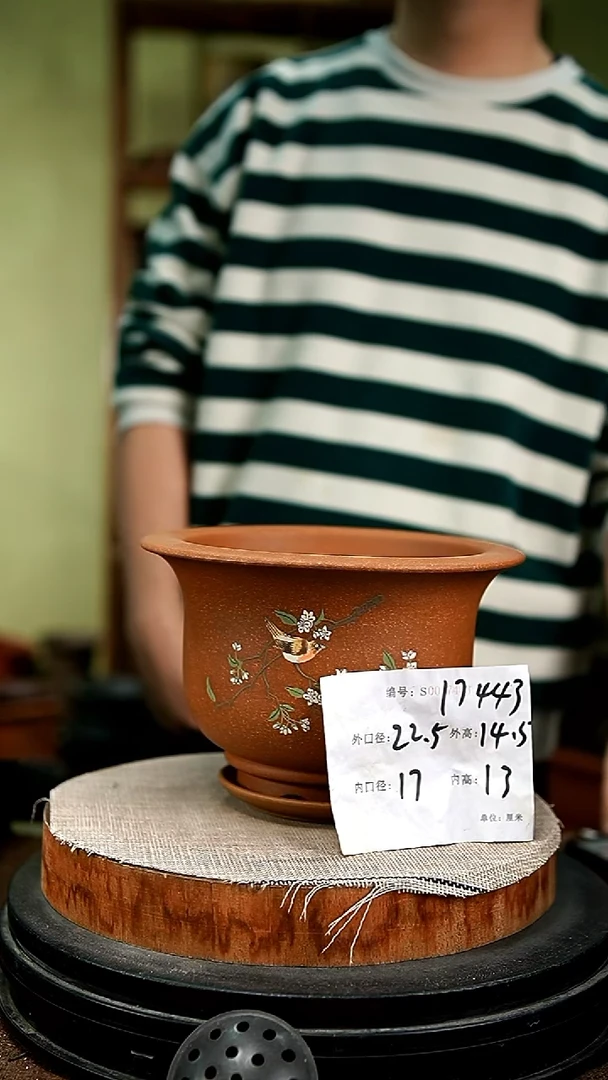 紫砂花盆花卉园艺17443+z