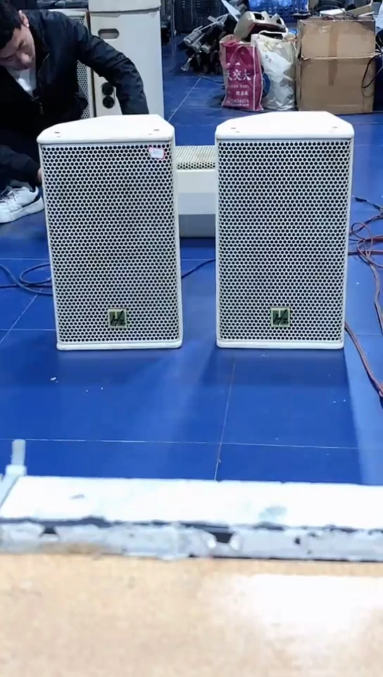 8新HZ十寸专业箱一对，出声，不带线材，不退不换