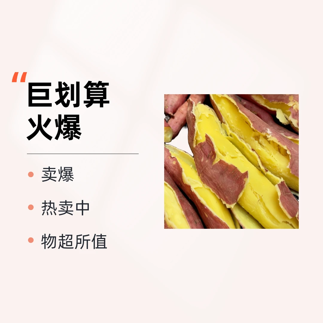 正宗沙地板栗红薯新鲜现挖黄芯