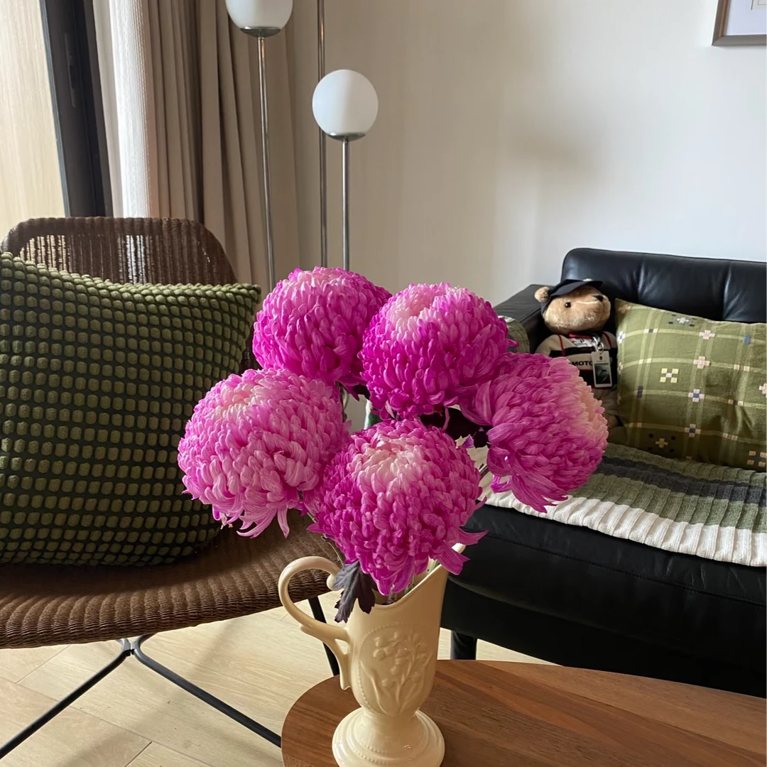 【玫粉色牡丹菊5枝】  任意2单升级顺丰/德邦