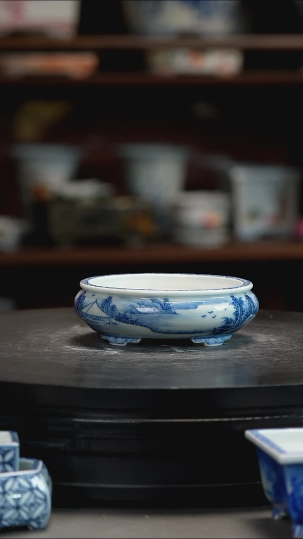 釉下青花手绘盆欢*釉下青花手绘盆