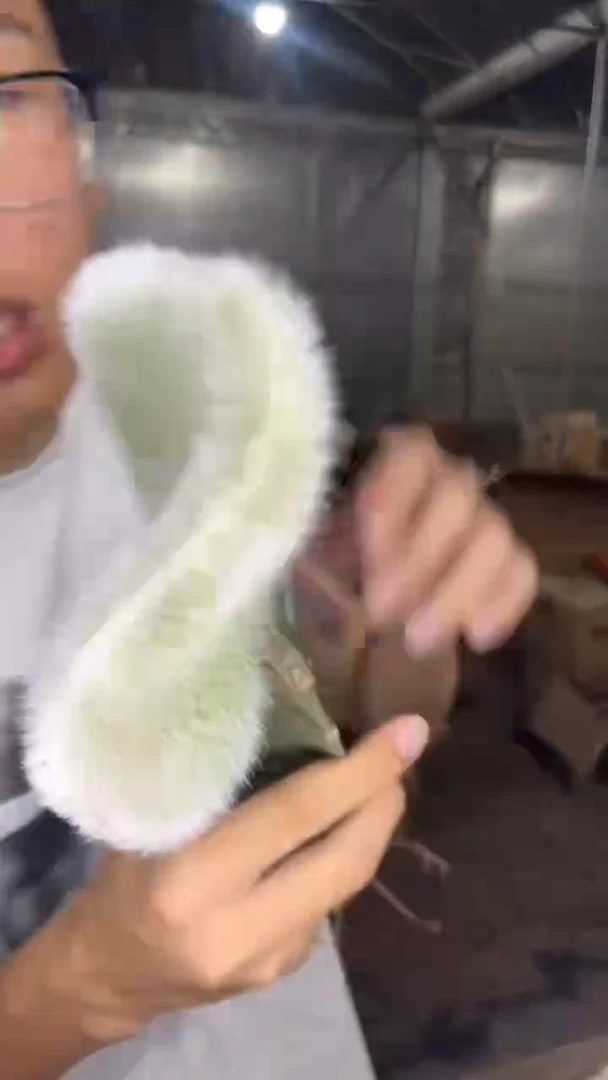 九尾狐 缀化【嫁接】