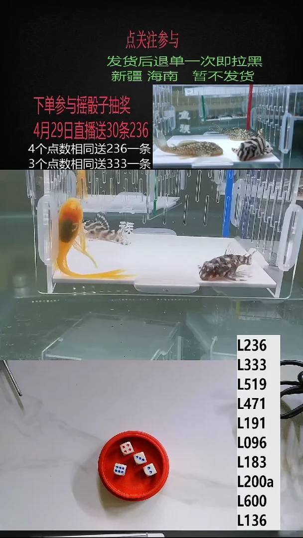 清道夫4-5不包入缸损51