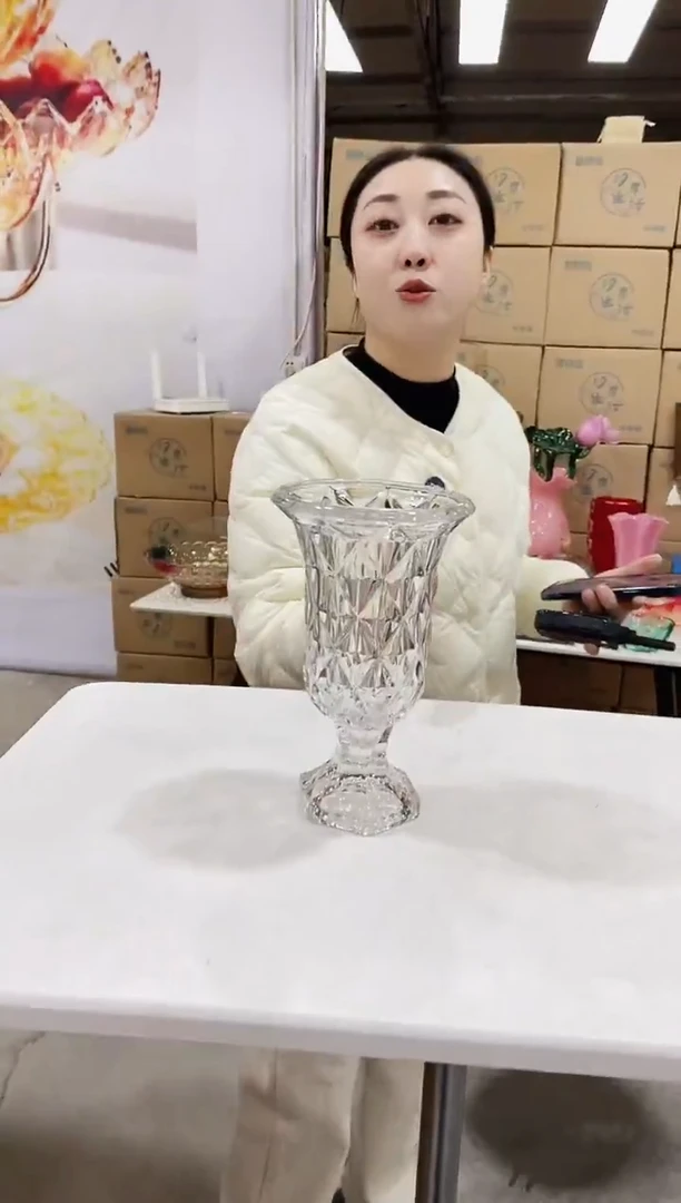 透明风灯花瓶一个