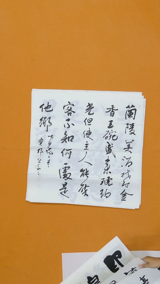 书法沈兴邦68*68（江苏人）浙江