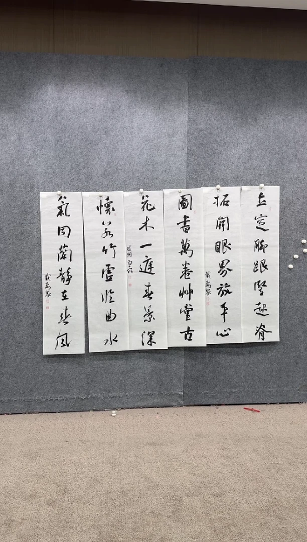【闪购商品】书法pmw不二轩旗舰店书法DWZ12