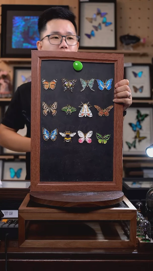 金属冰箱贴标本摆件