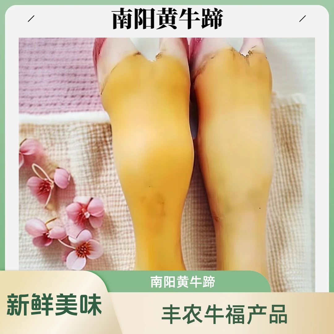 南阳黄牛蹄 火烧去毛 顺丰包邮 （新疆 西藏 海南除外）