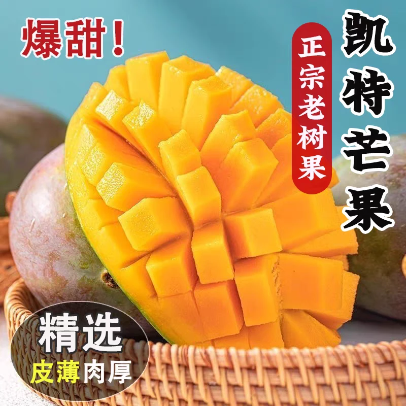 爆甜攀枝花凯特芒四川新鲜水果批发坏了包赔带箱五斤 单果1斤起