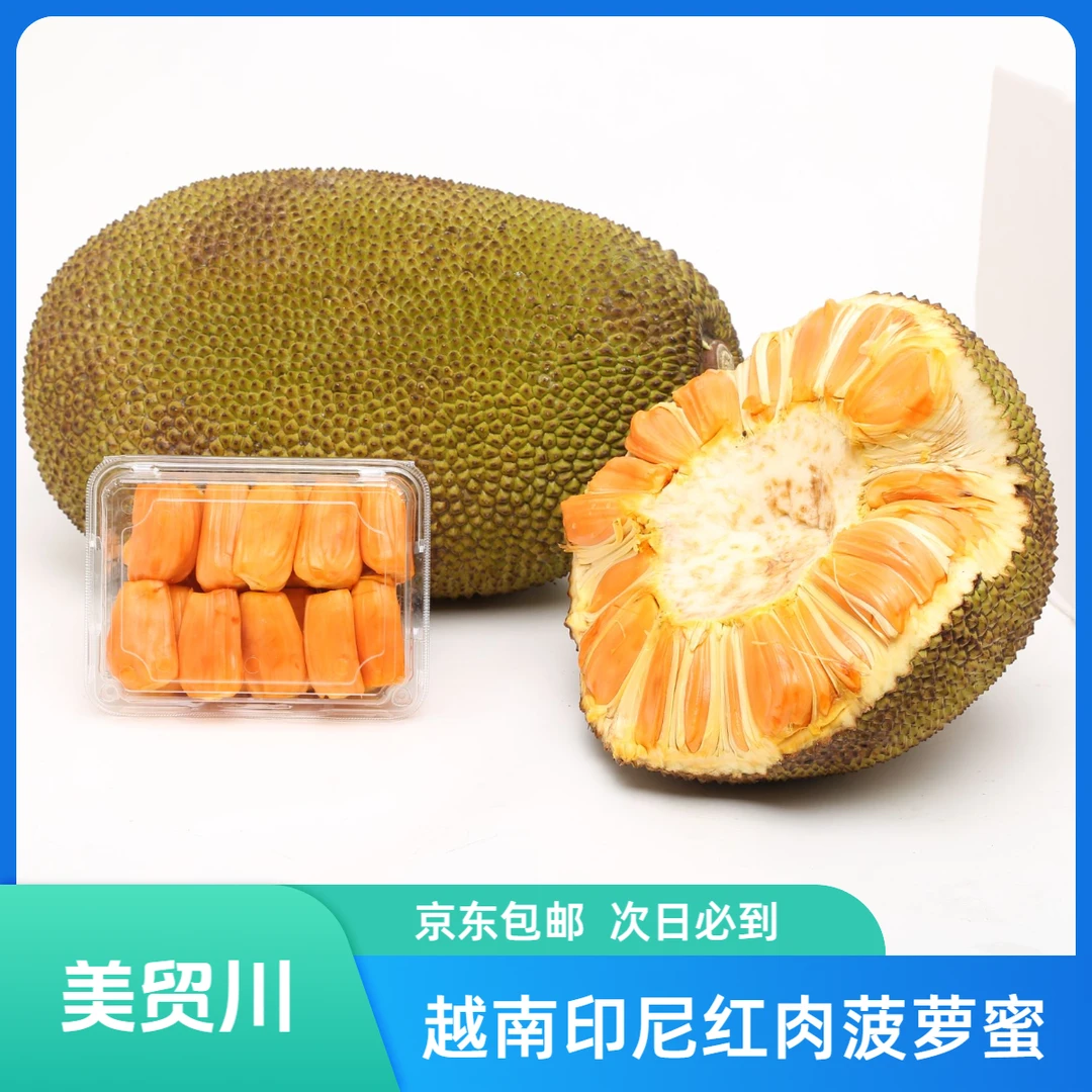 【切块印尼红】越南进口印尼红肉菠萝蜜 直播现称一物一拍 500g起 京东包邮 签收24小时内售后 【101-150】越南