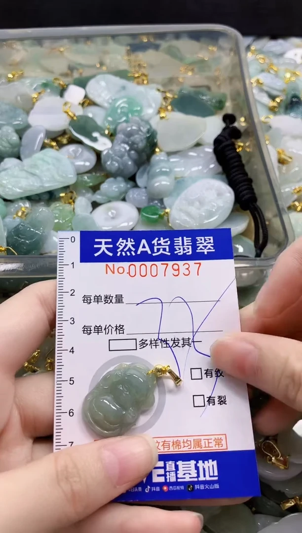 颈饰未镶嵌翡翠纯天然a货翡翠