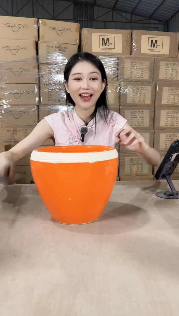苹果橘色中号22x19
