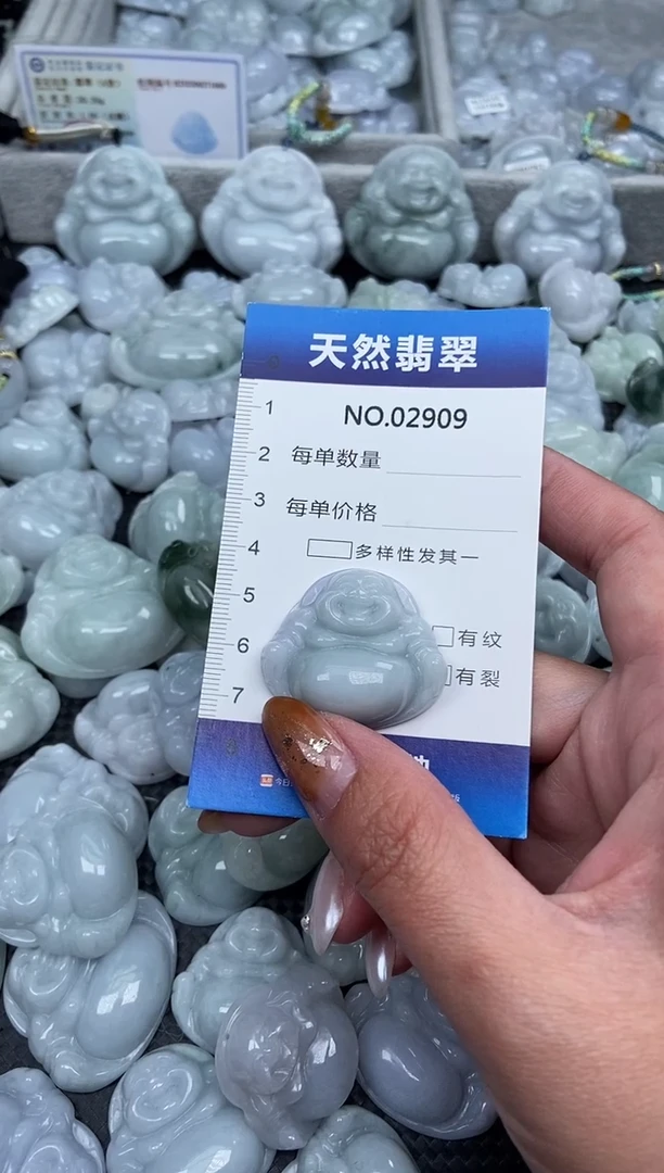 颈饰未镶嵌翡翠纯天然A货翡翠2909