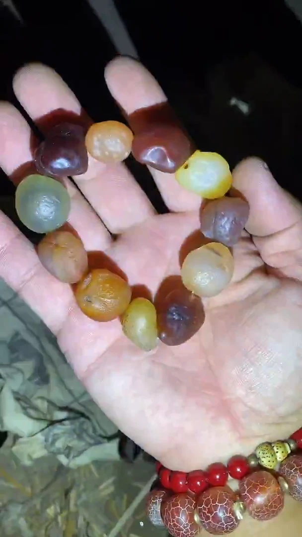 香榧木21啊啊啊啊啊啊啊啊啊啊啊啊啊