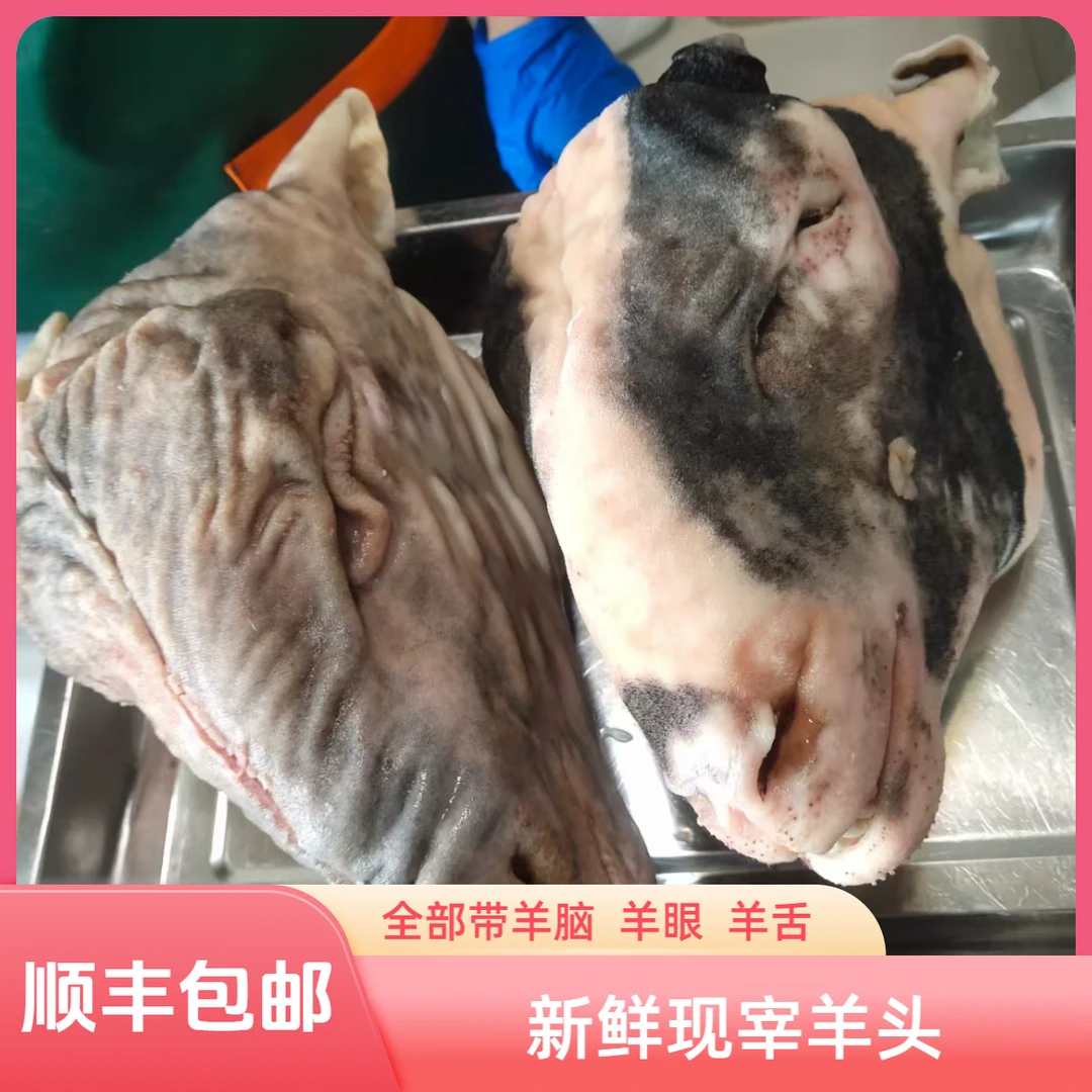 【顺丰包邮】黑羊头新鲜整只羊头带皮急冻锁鲜肉质鲜嫩带羊脑包邮
