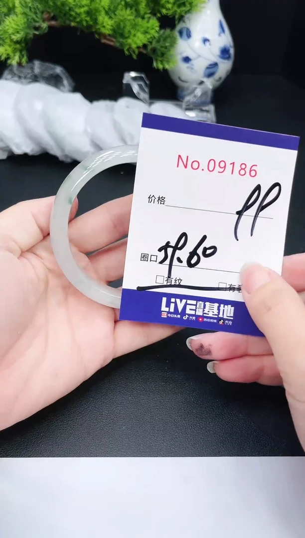 未镶嵌手镯翡翠9186