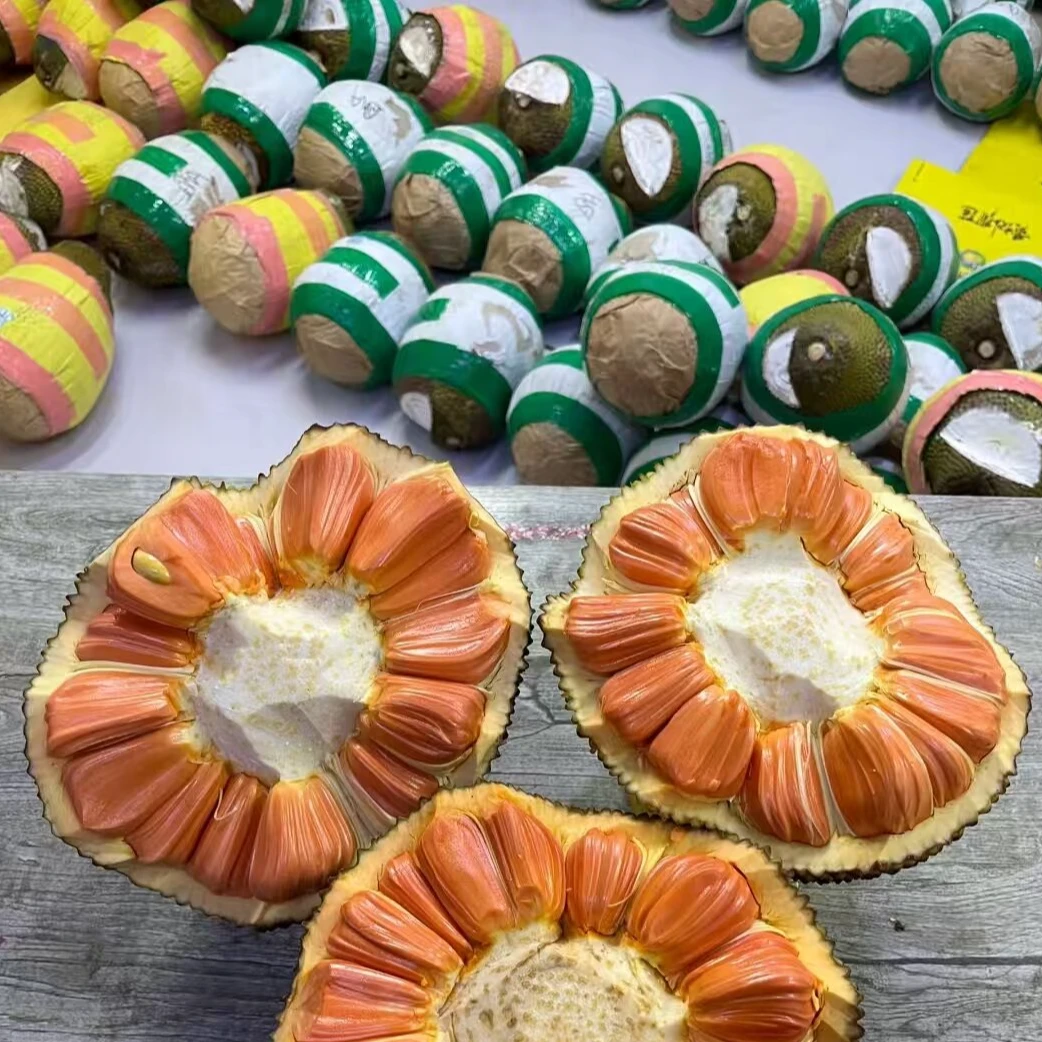 【AA红肉菠萝蜜】正宗 印尼红 红 肉菠萝蜜  新鲜 整颗果子发货 顺丰 包邮到家红肉菠萝蜜越南社会主义共和国