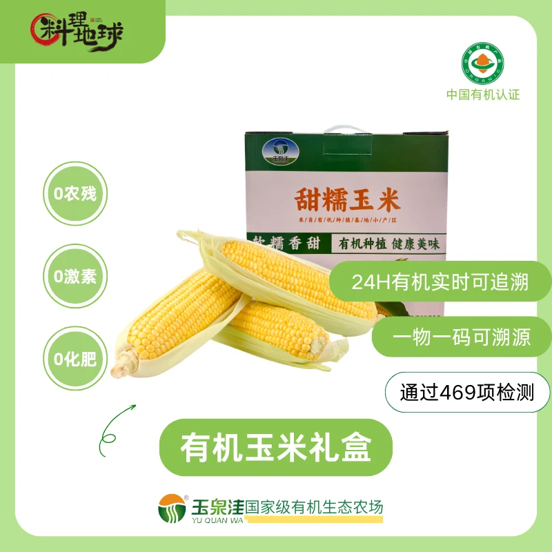 玉泉洼有机玉米10支健康无添加