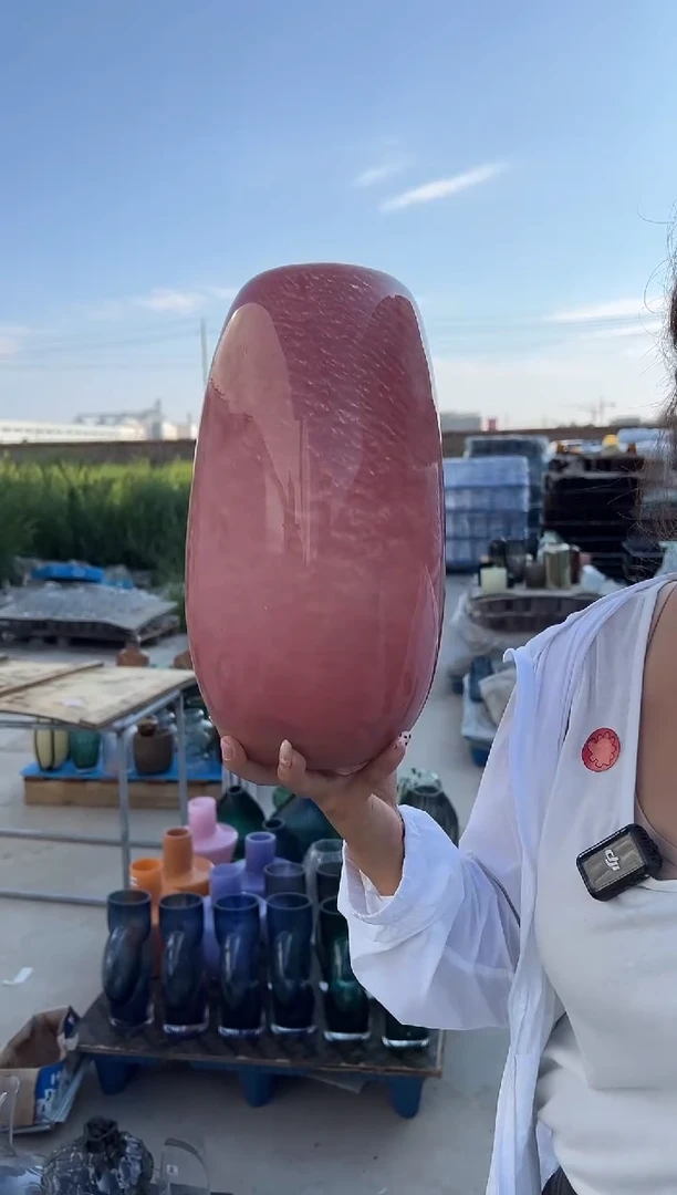 玻璃花瓶用于客厅桌面插花装饰