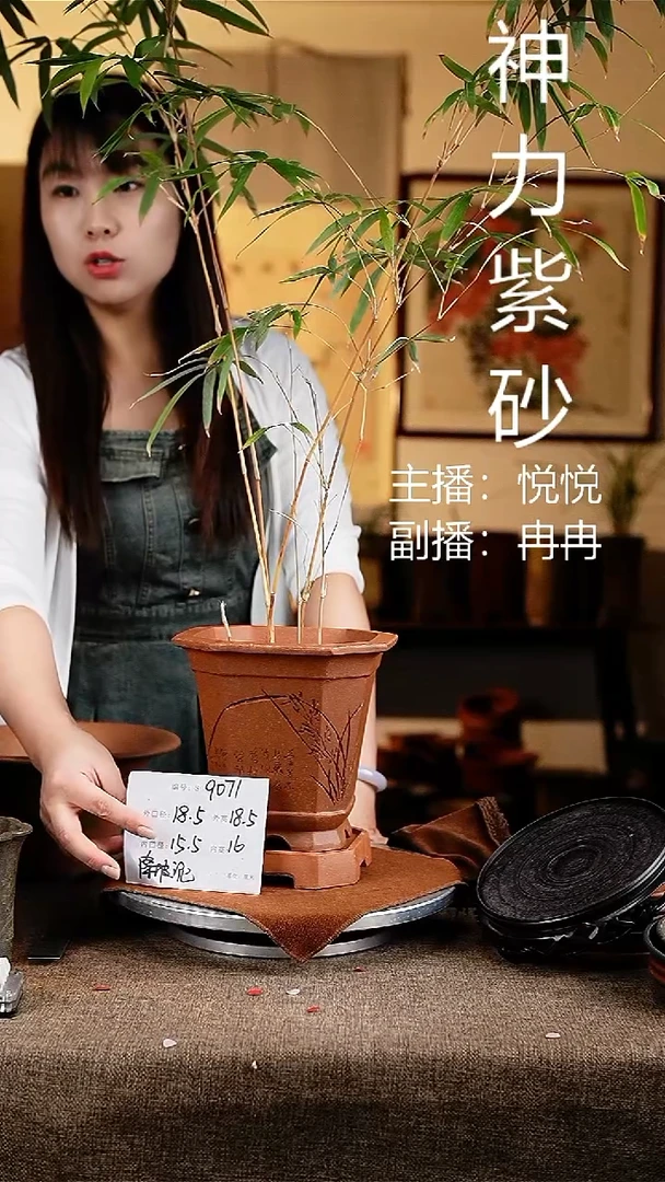 紫砂花盆花卉工艺9071+z原配