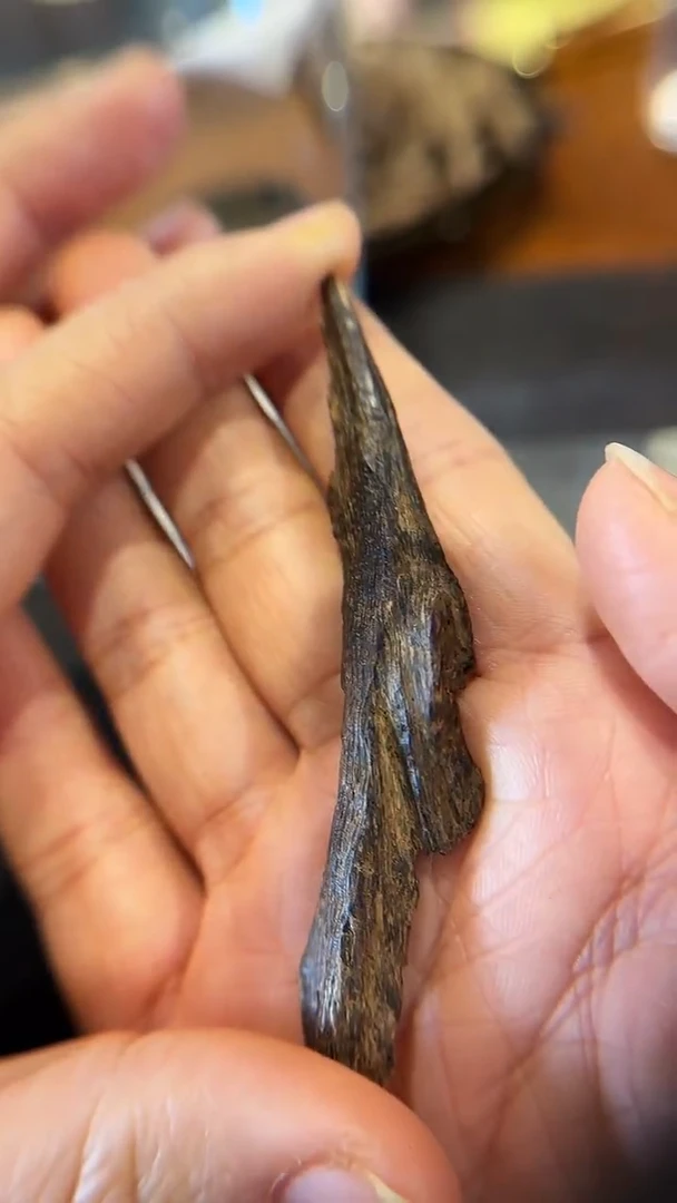 香料芽庄土沉老料沉水2.1g