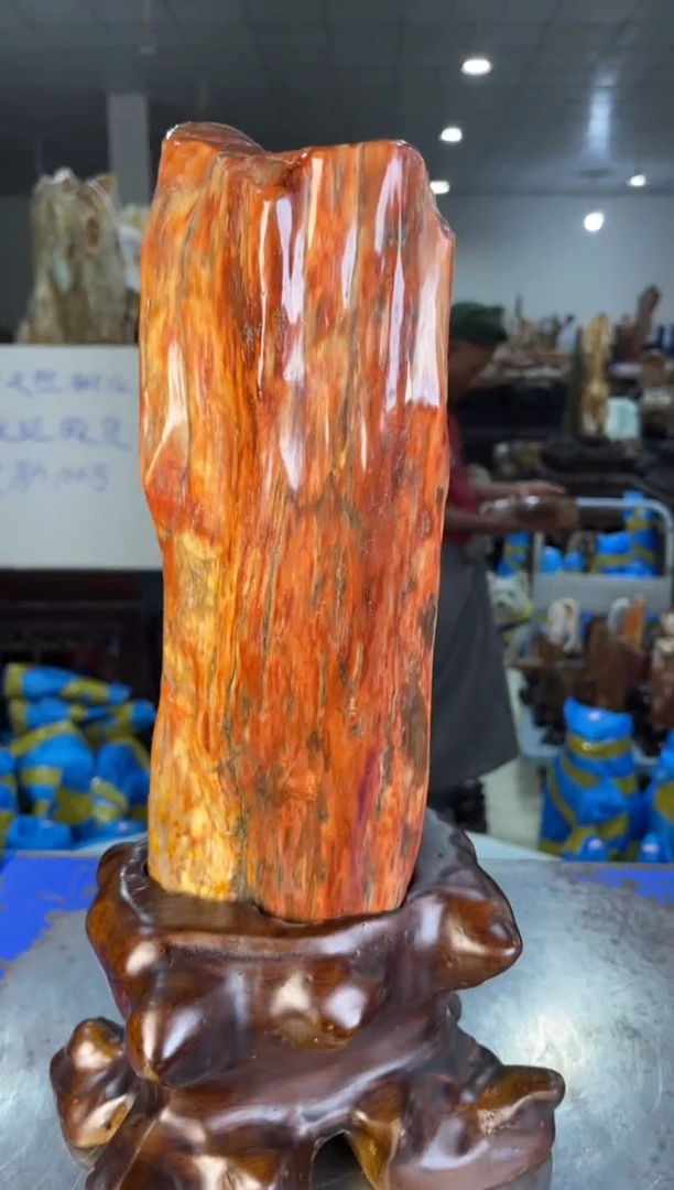 未镶嵌摆件硅化玉65