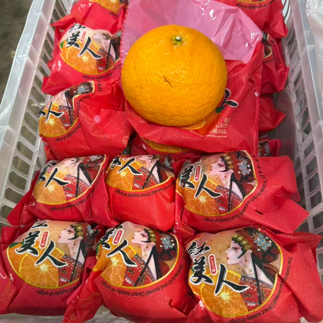 红美人果冻橙（4斤装18.8）