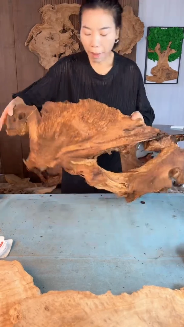 香杉木杉木瘤随型【原料】026