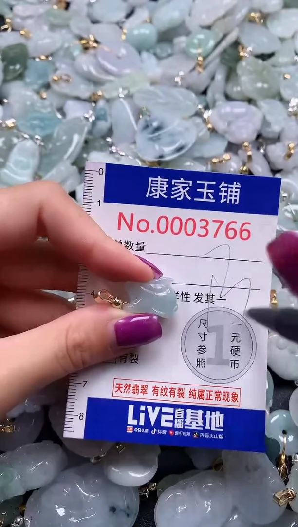 颈饰未镶嵌翡翠3766