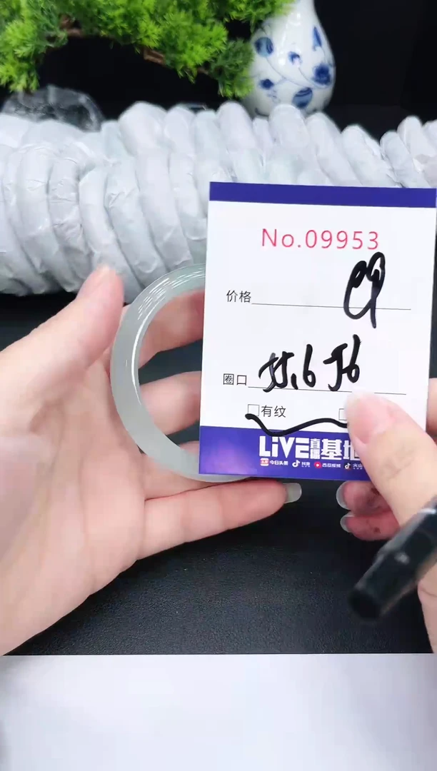 未镶嵌手镯翡翠9953
