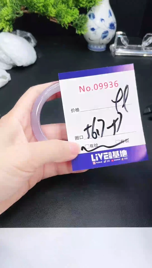 未镶嵌手镯翡翠9936