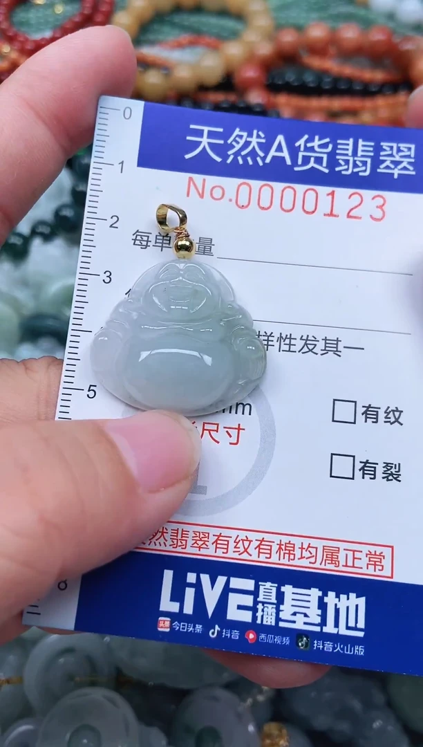 颈饰未镶嵌翡翠天然翡翠