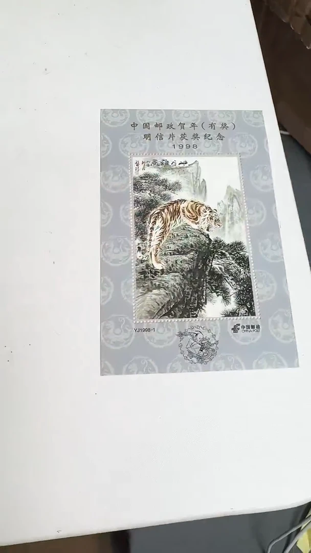 虎 合集合集合集合集