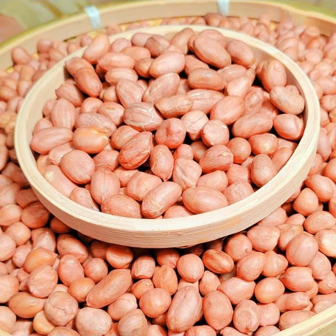农家新鲜花生米颗颗饱满圆润500g