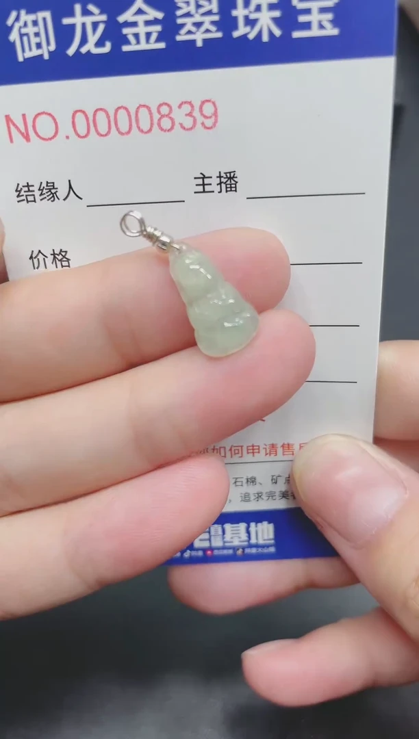 翡翠未镶嵌颈饰013