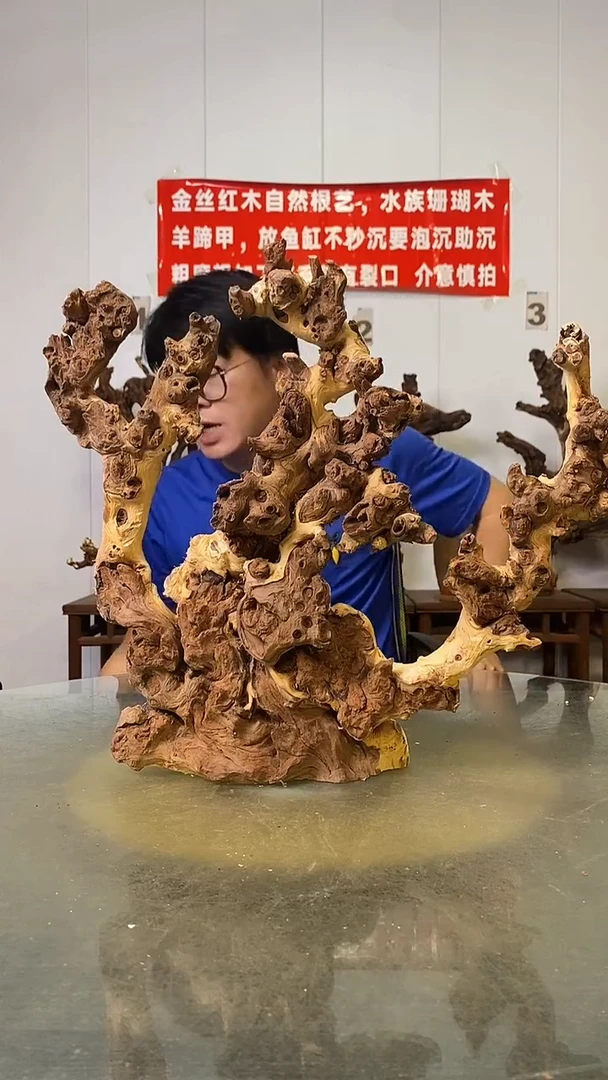 香榧木U****发金丝红木   羊蹄甲