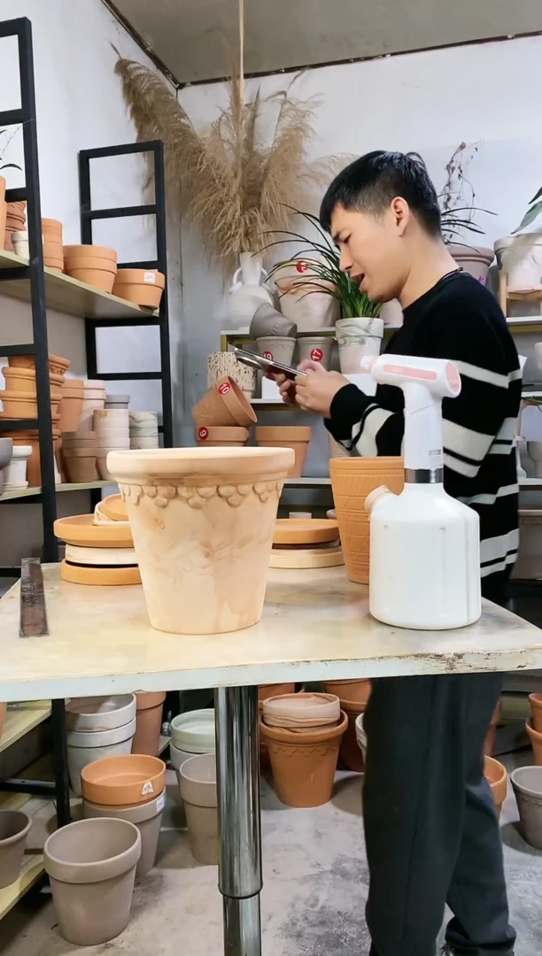 【闪购商品】红陶20*19玛奇朵巴洛克 1盆无托