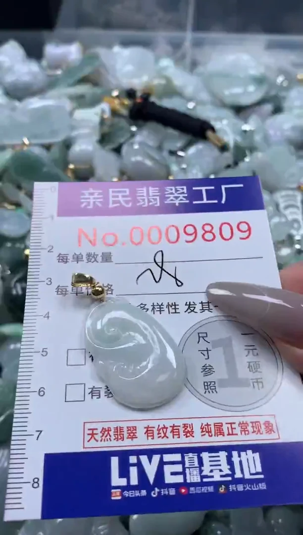 颈饰未镶嵌翡翠9809