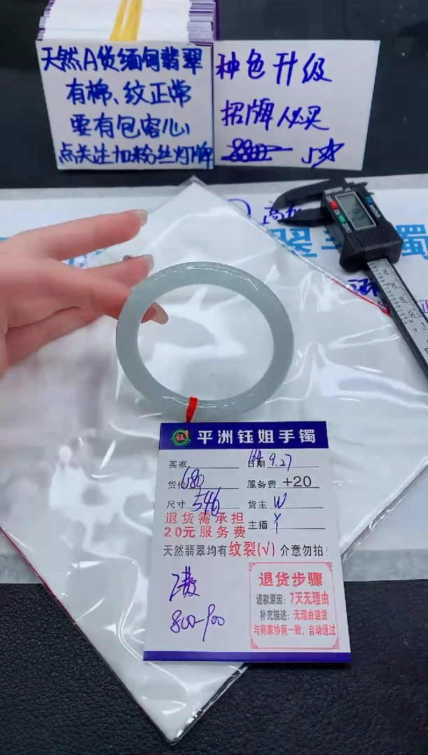 未镶嵌手镯翡翠11111