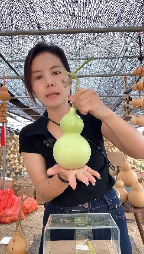 955天然葫芦摆件 一物一拍龙头不保售后微瑕疵