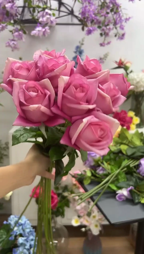 10枝玫粉手感保湿双子座