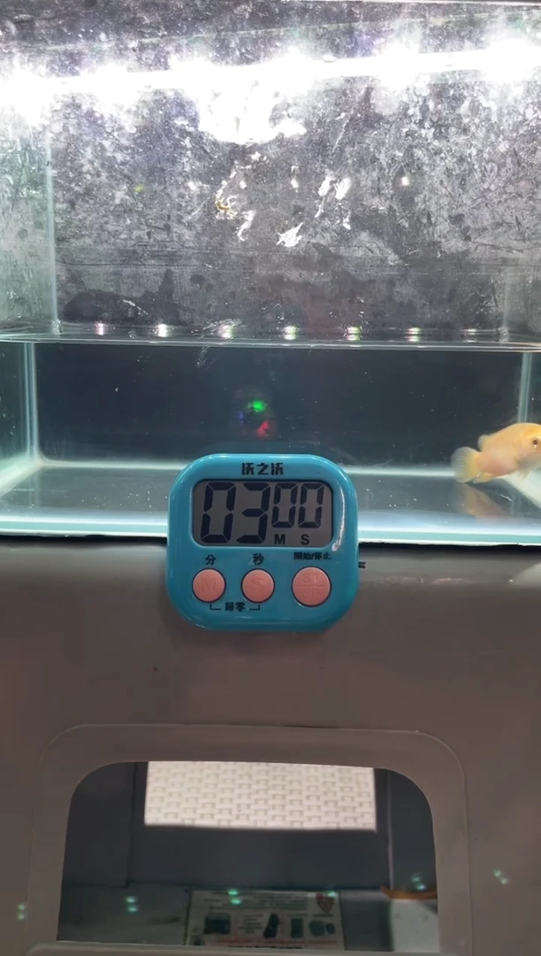 道金系列0元起拍，包邮包损，每次加价5元，3分钟竞拍时间，价高者得