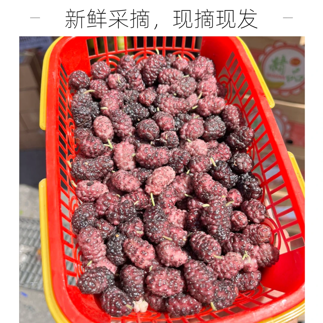 吐鲁番桑葚 1筐/600克