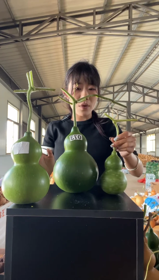 贝**?073天然葫芦摆件 一物一拍龙头不保售后青皮葫芦不保售后