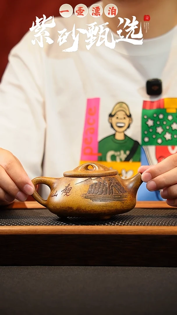 茶壶紫砂 一壶漂泊紫砂茶器3023