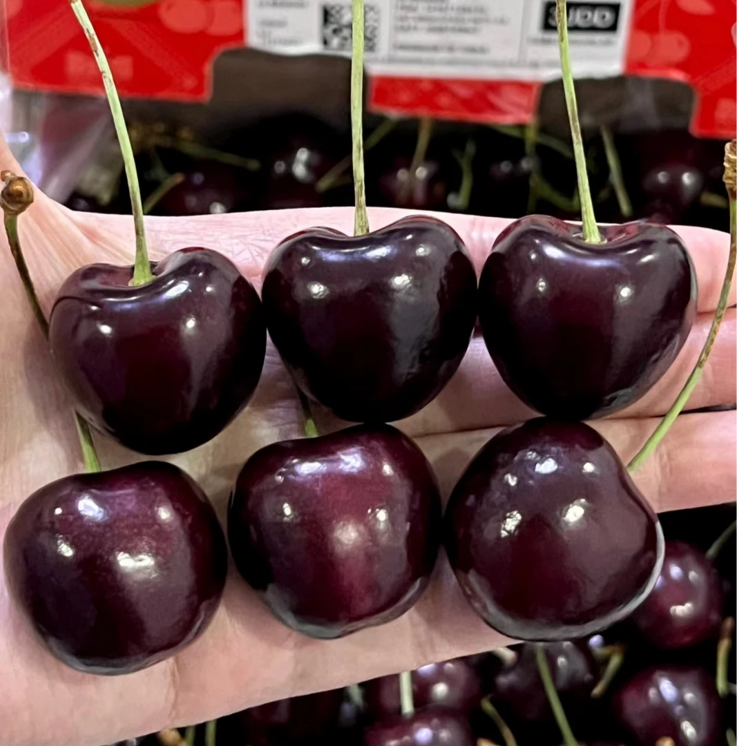 3JD车厘子5斤原箱/瑞吉娜大长腿世界第二/配精美烫金礼袋