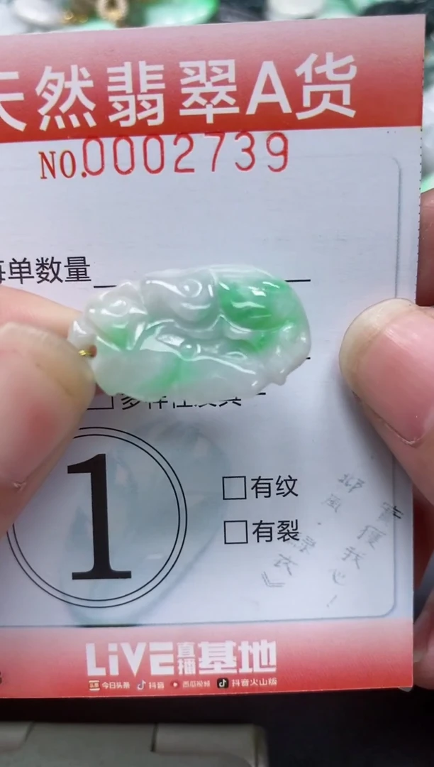 翡翠未镶嵌颈饰闪购0002739