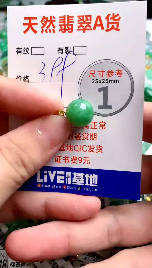 翡翠18K金镶嵌颈饰0228855548