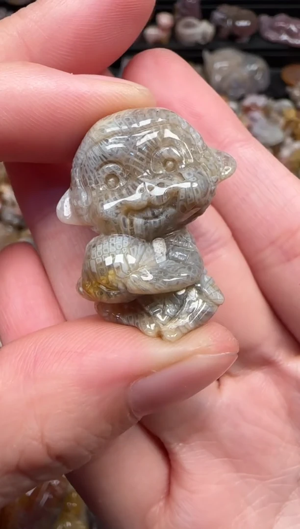 颈饰未镶嵌硅化珊瑚（珊瑚玉）340