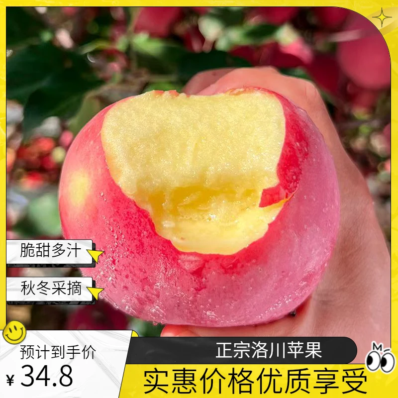 【脆甜多汁】洛川红富士苹果自然成熟皮薄肉厚营养丰富产地包邮直发